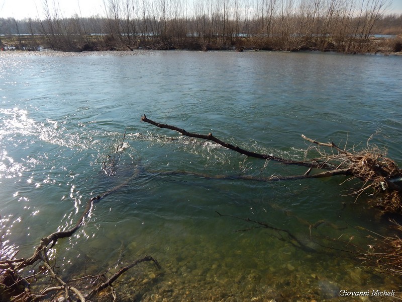Parco del Ticino: prove di primavera